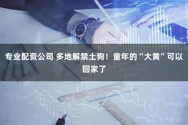 专业配资公司 多地解禁土狗！童年的“大黄”可以回家了