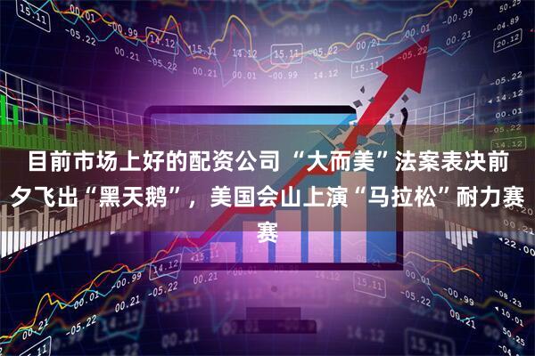 目前市场上好的配资公司 “大而美”法案表决前夕飞出“黑天鹅”，美国会山上演“马拉松”耐力赛