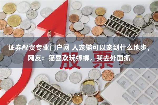 证券配资专业门户网 人宠猫可以宠到什么地步，网友：猫喜欢玩蟑螂，我去外面抓
